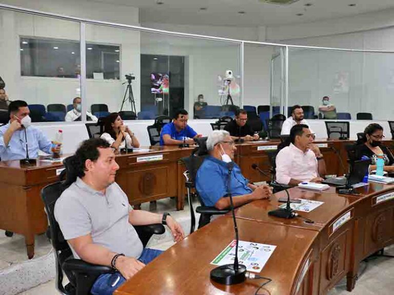 concejo de neiva
