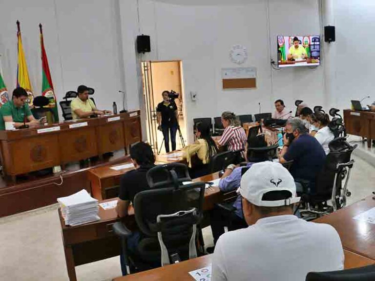 concejo de neiva