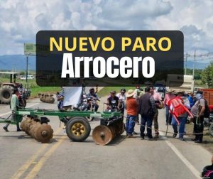 El segundo paro arrocero del 2025: Una crisis estructural que trasciende la coyuntura